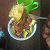 Post: Came and we enjoy the food 🥑